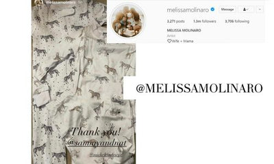 Instagram Post from @melissamolinaro