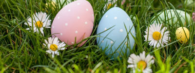 Easter Pregnancy - Announcement Ideas