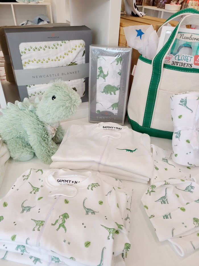 Dino Theme Baby Gifts