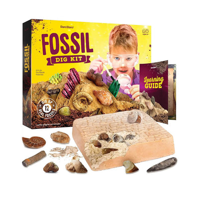 Fossil Dig Kit front