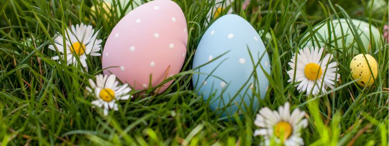 Baby pink and baby blue eggs scattered in the grass with flowers.