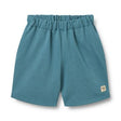 Aksel Sweat Shorts in Blue Teal