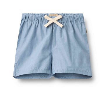 Max Shorts in Blue Chambrey