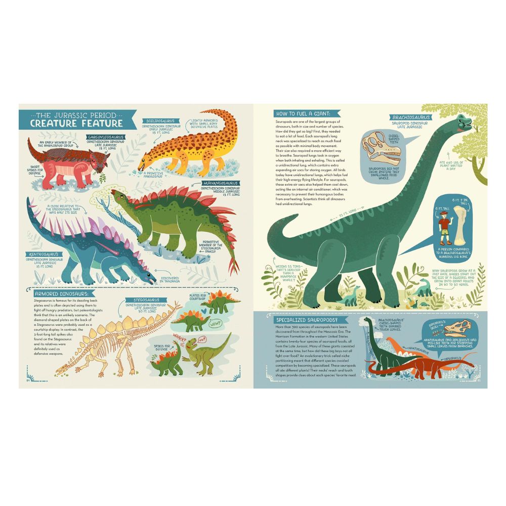 Educational pages about dinosaurs with illustrations and text on a white background