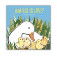 Book cover of 'How Big is Love?' by Emma Dodd featuring a mother duck and her ducklings.