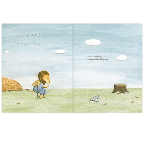 The Lion And The Bird Book