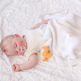 Tara the Duck Tag Along Pram Toy