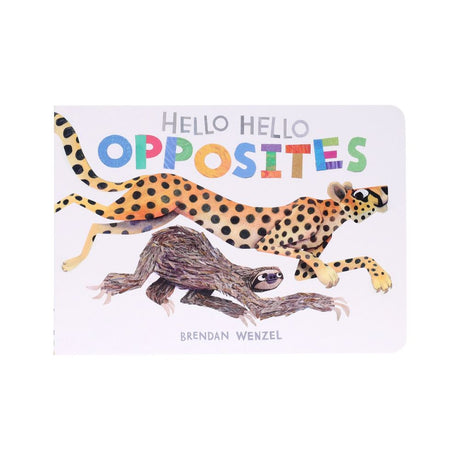 Hello Hello Opposites Book