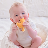 Tara the Duck Tag Along Pram Toy
