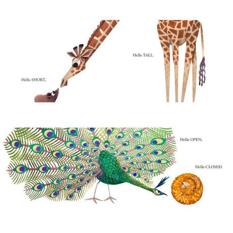 Illustrations of a giraffe, peacock, and snake with labeled positions on a white background.