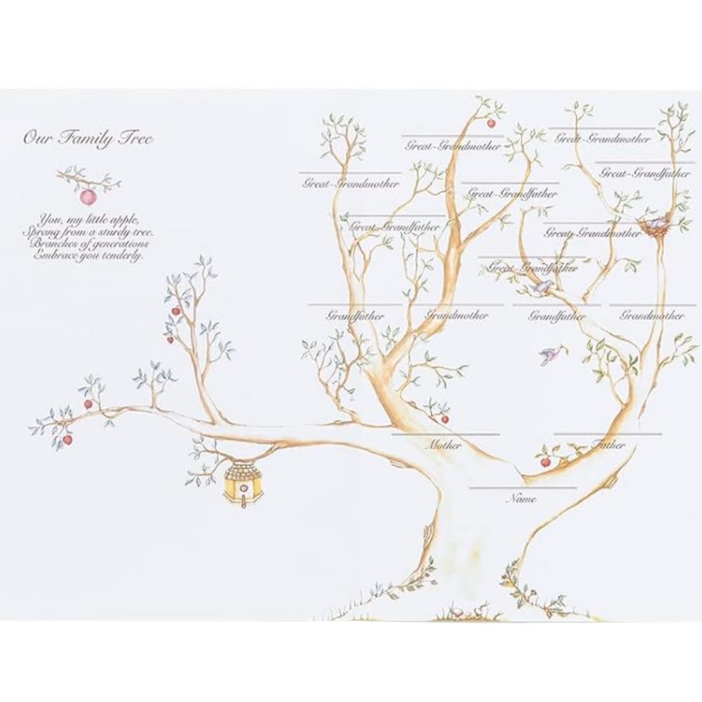 Grandmother Remembers: Gift Edition Book