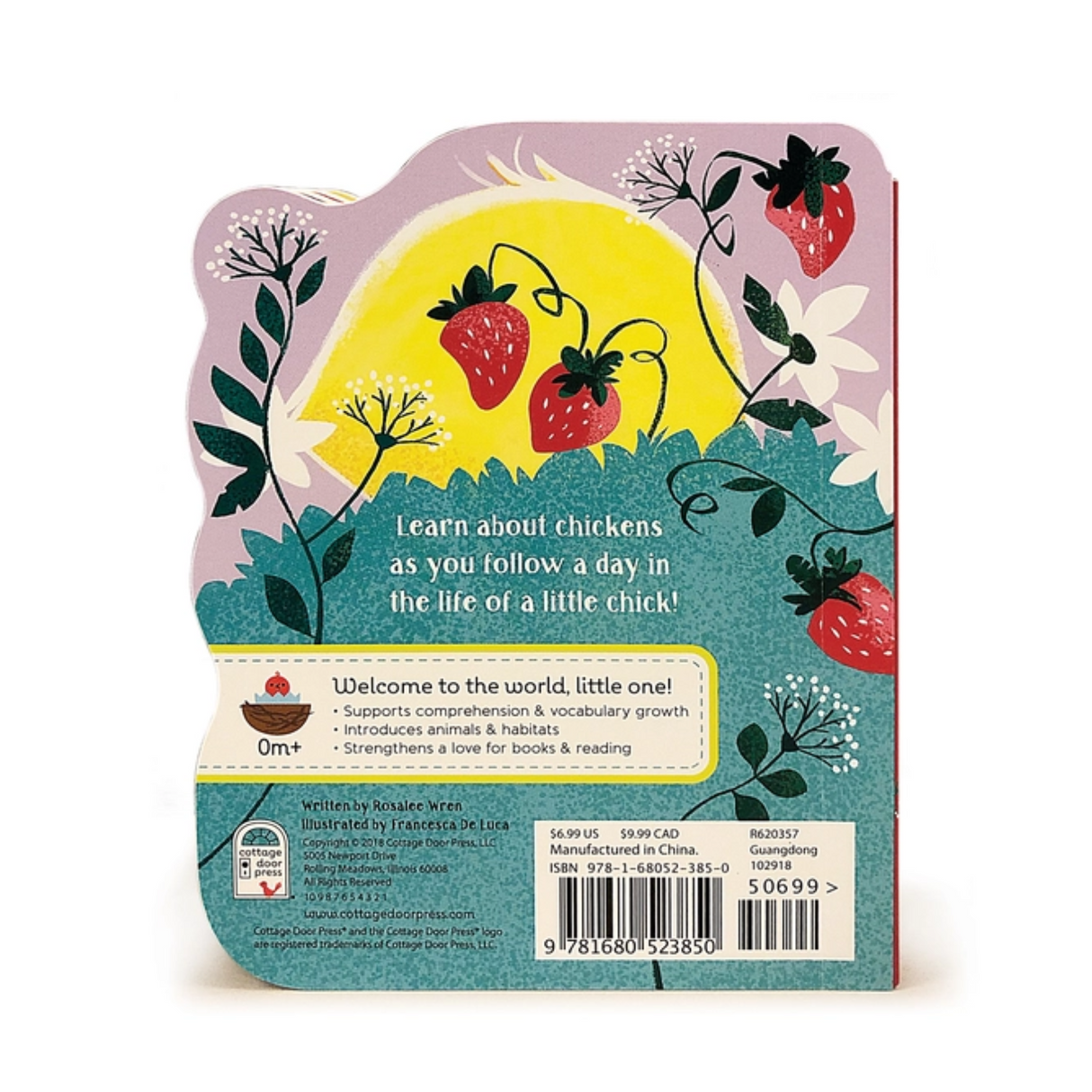 A Little Chick Book back