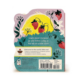 A Little Chick Book back