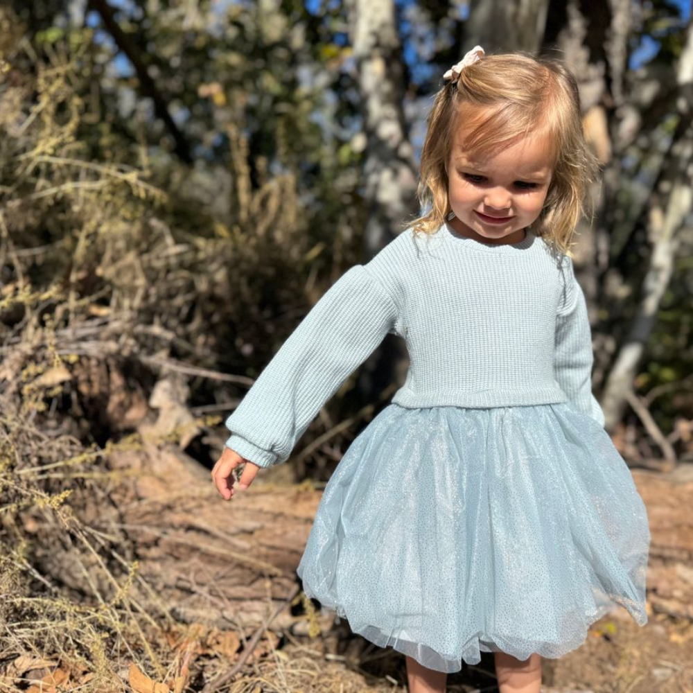 Birdie Dress in Blue Knit