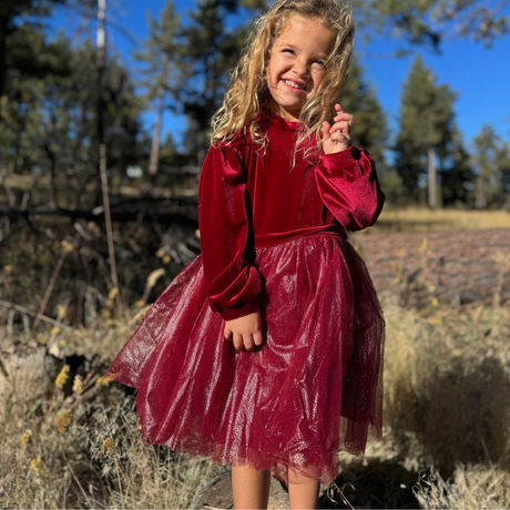Birdie Dress in Red Velvet
