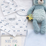 Blue  theme baby gifts