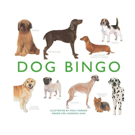 Dogs on white background