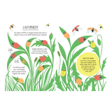 Illustration of ladybugs on grass with educational text