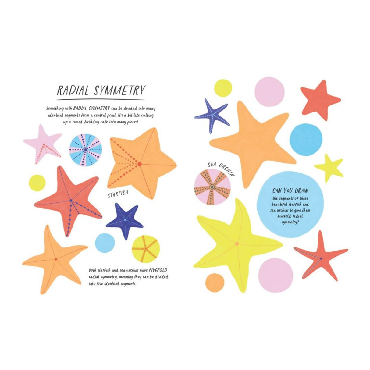 Educational illustration of radial symmetry with colorful starfish and shapes on a white background.