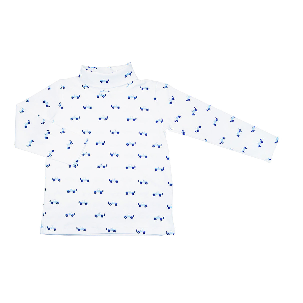 Coastal Cruiser Turtleneck