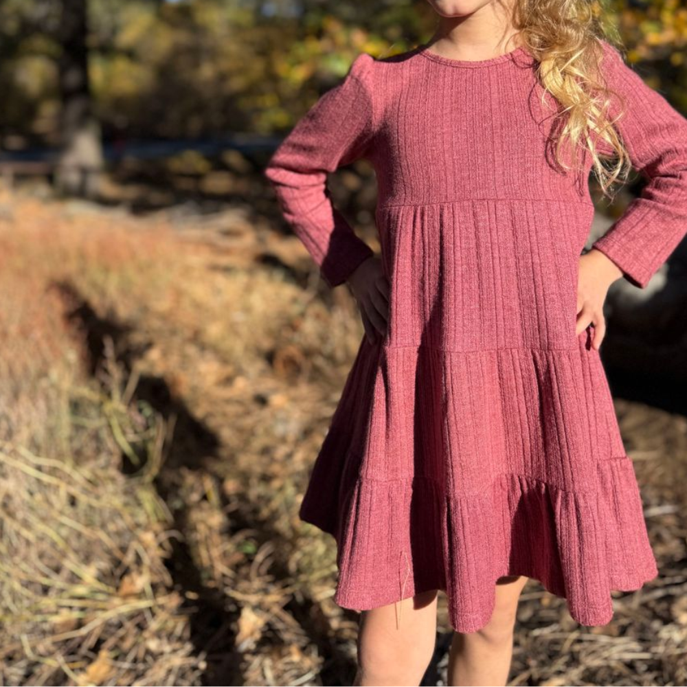 Iona Dress Long Sleeve in Cranberry