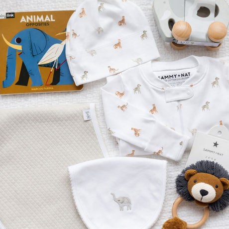 safari  theme baby gifts