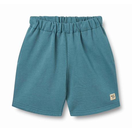 Aksel Sweat Shorts in Blue Teal