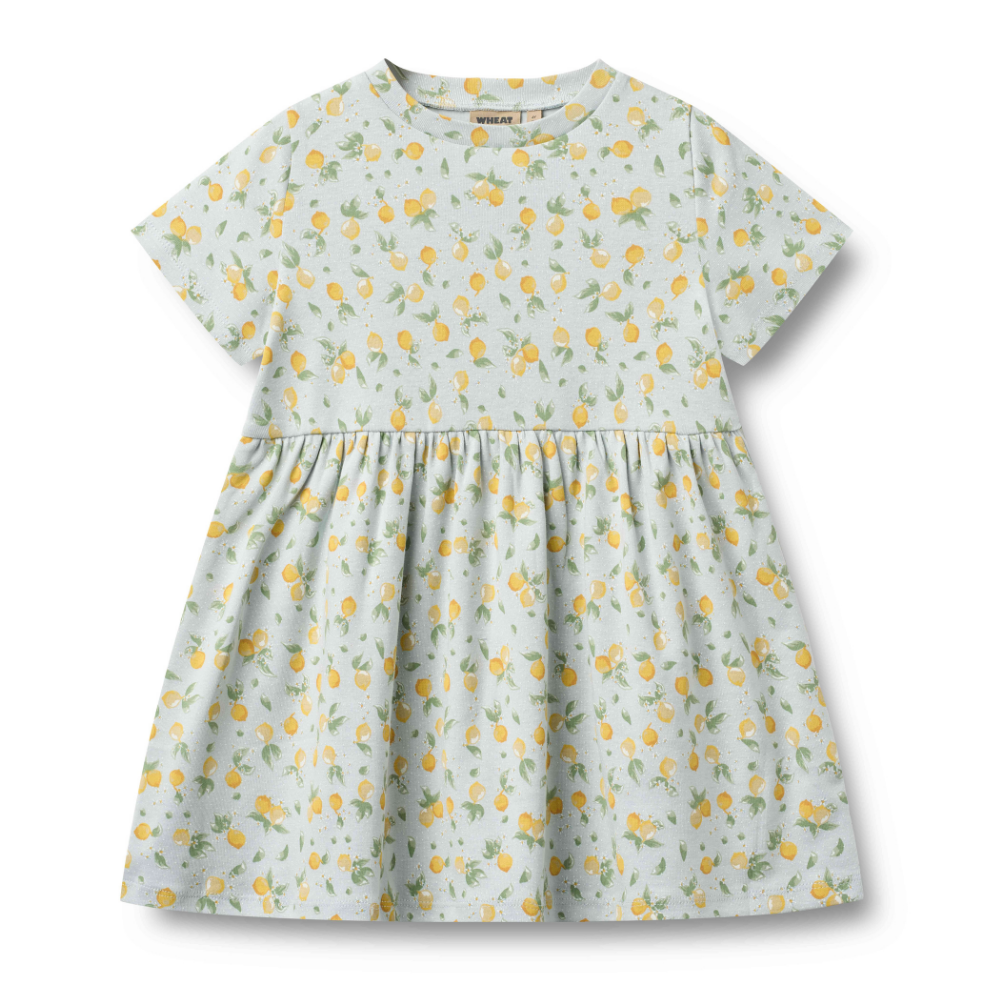 Anna Jersey Dress in Summer Blue Citrus