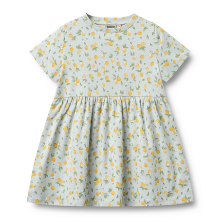 Anna Jersey Dress in Summer Blue Citrus