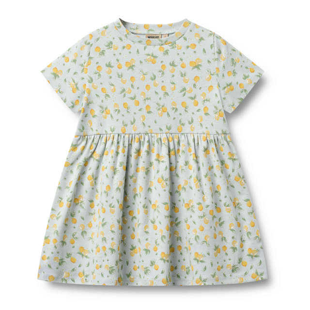 Anna Jersey Dress in Summer Blue Citrus