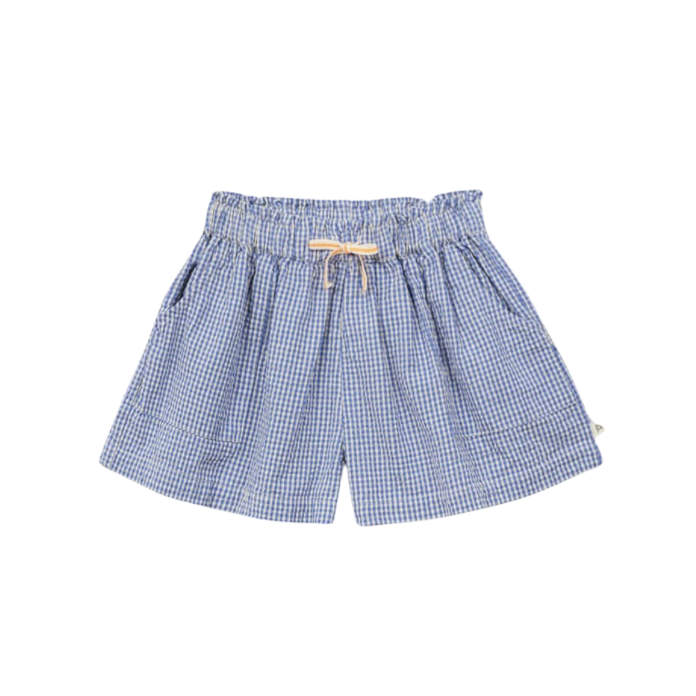Gingham Shorts in Cobalt