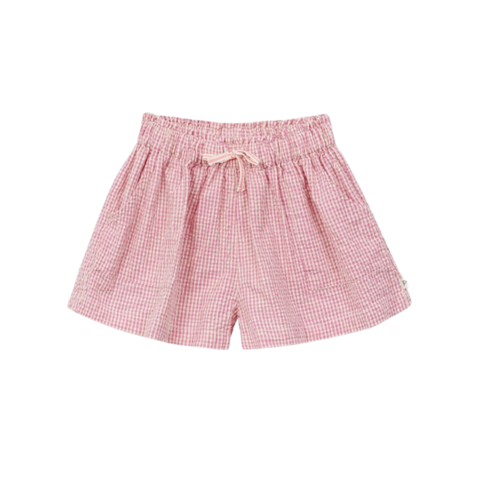 Gingham Shorts in Rose