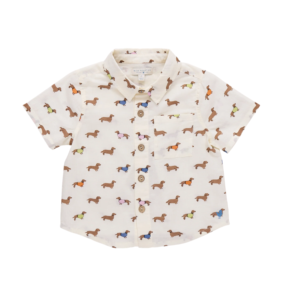 Baby Jack Shirt - Dachshunds In Sweaters