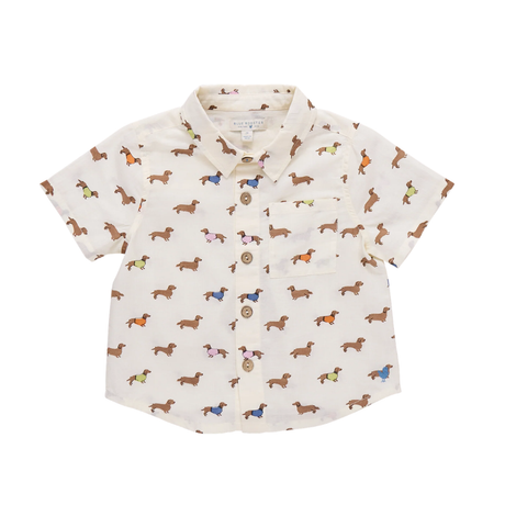 Baby Jack Shirt - Dachshunds In Sweaters