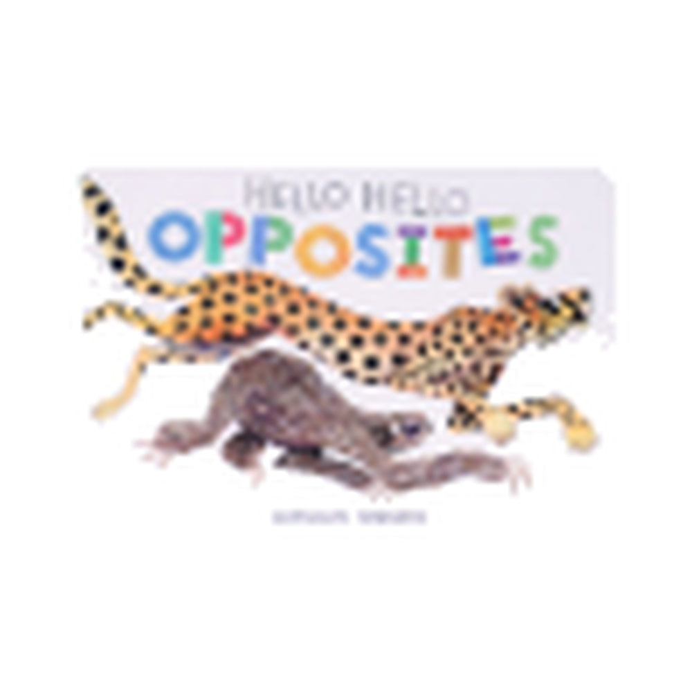 Hello Hello Opposites Book