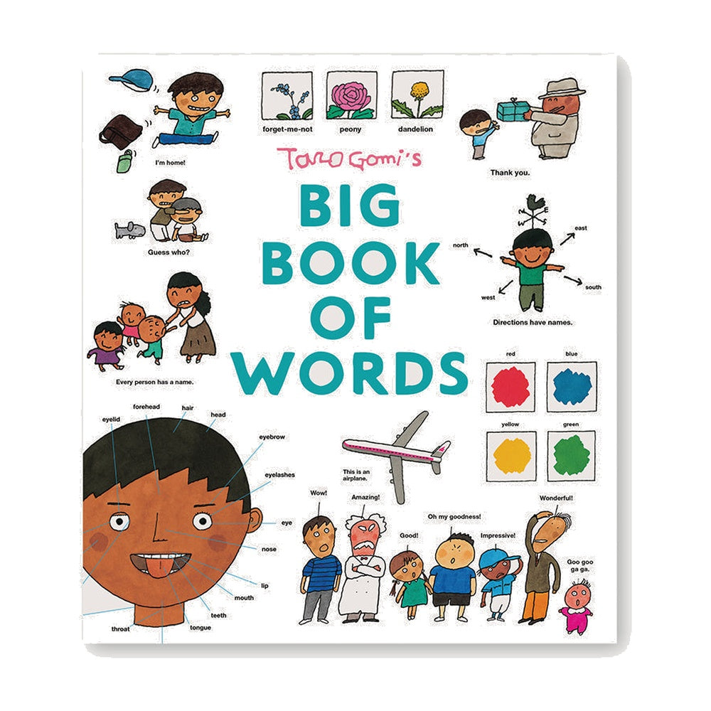 Taro Gomi's Big Book of Words