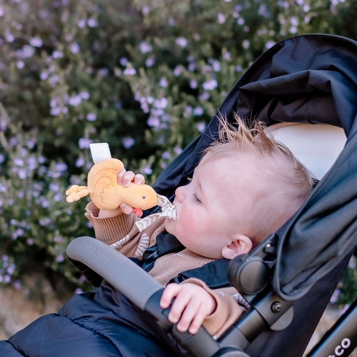 Baby in a stroller holding a toy duck with a blurred natural background