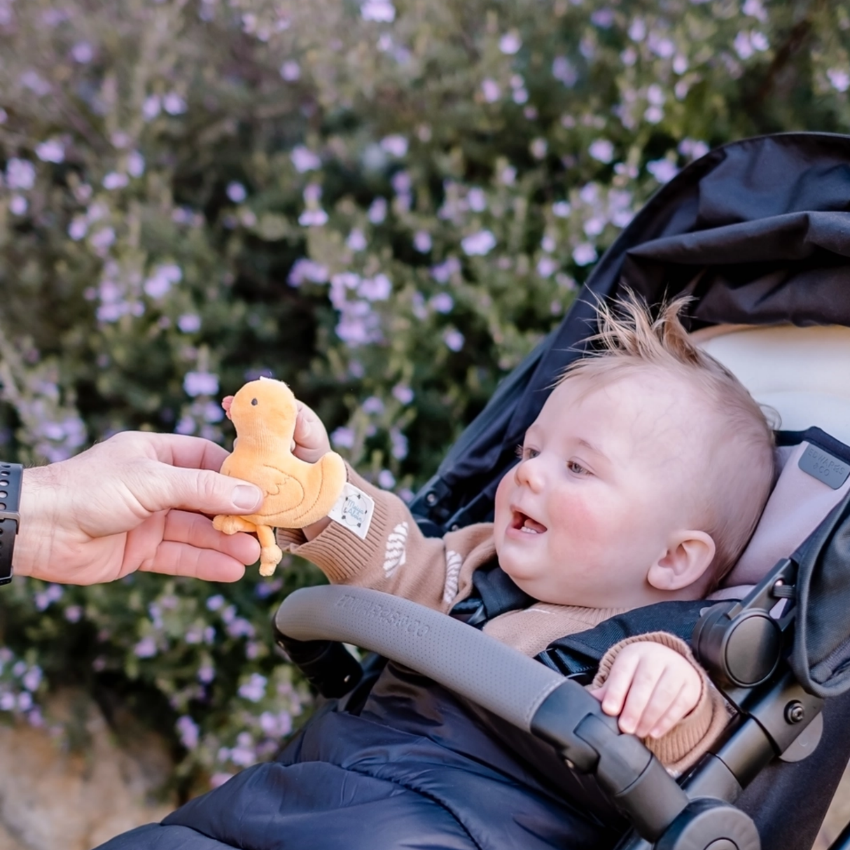 Baby in a stroller being given a toy by an adult outdoors.