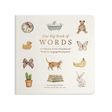 Our Big Book Of First Words Book