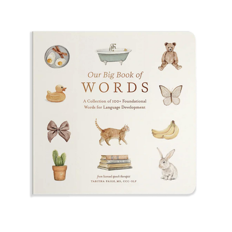 Our Big Book Of First Words Book