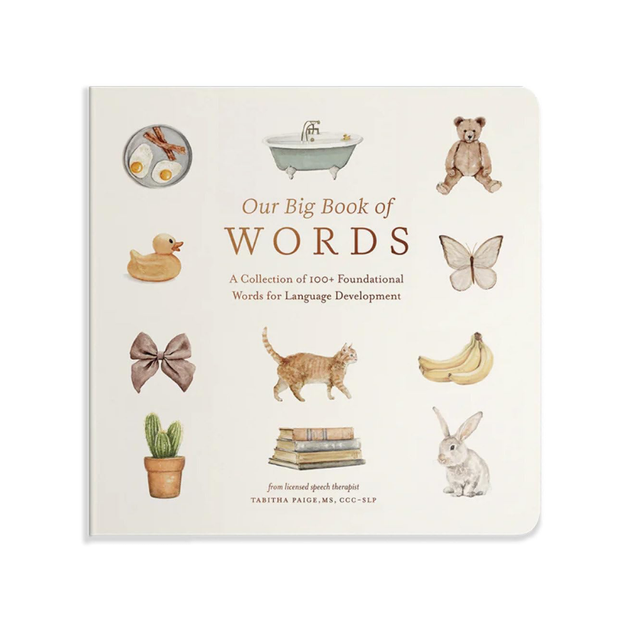 Our Big Book Of First Words Book