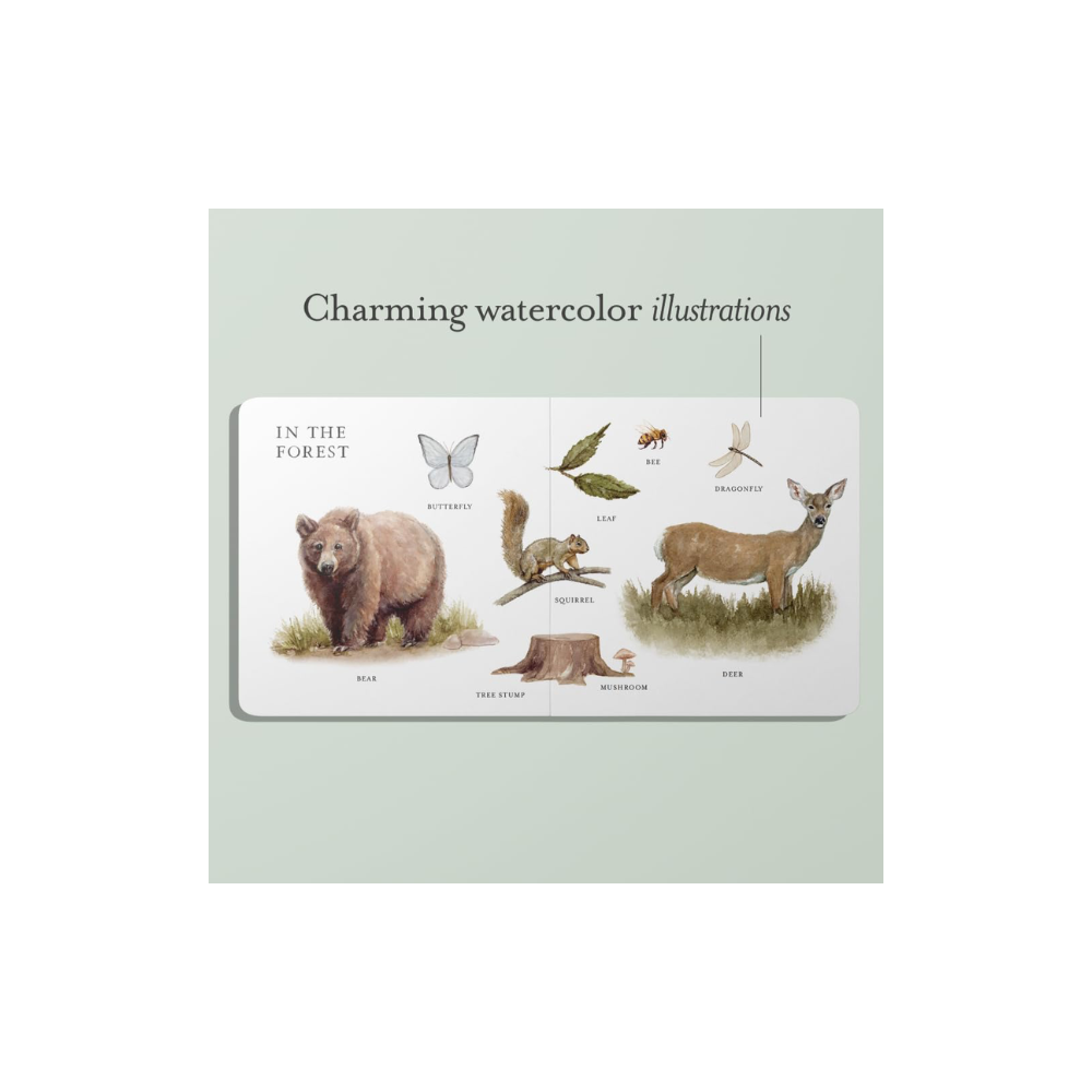 Our Big Book Of First Words Book