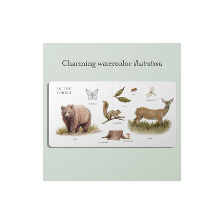 Our Big Book Of First Words Book