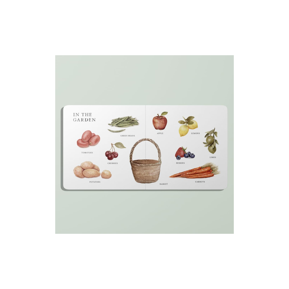 Our Big Book Of First Words Book