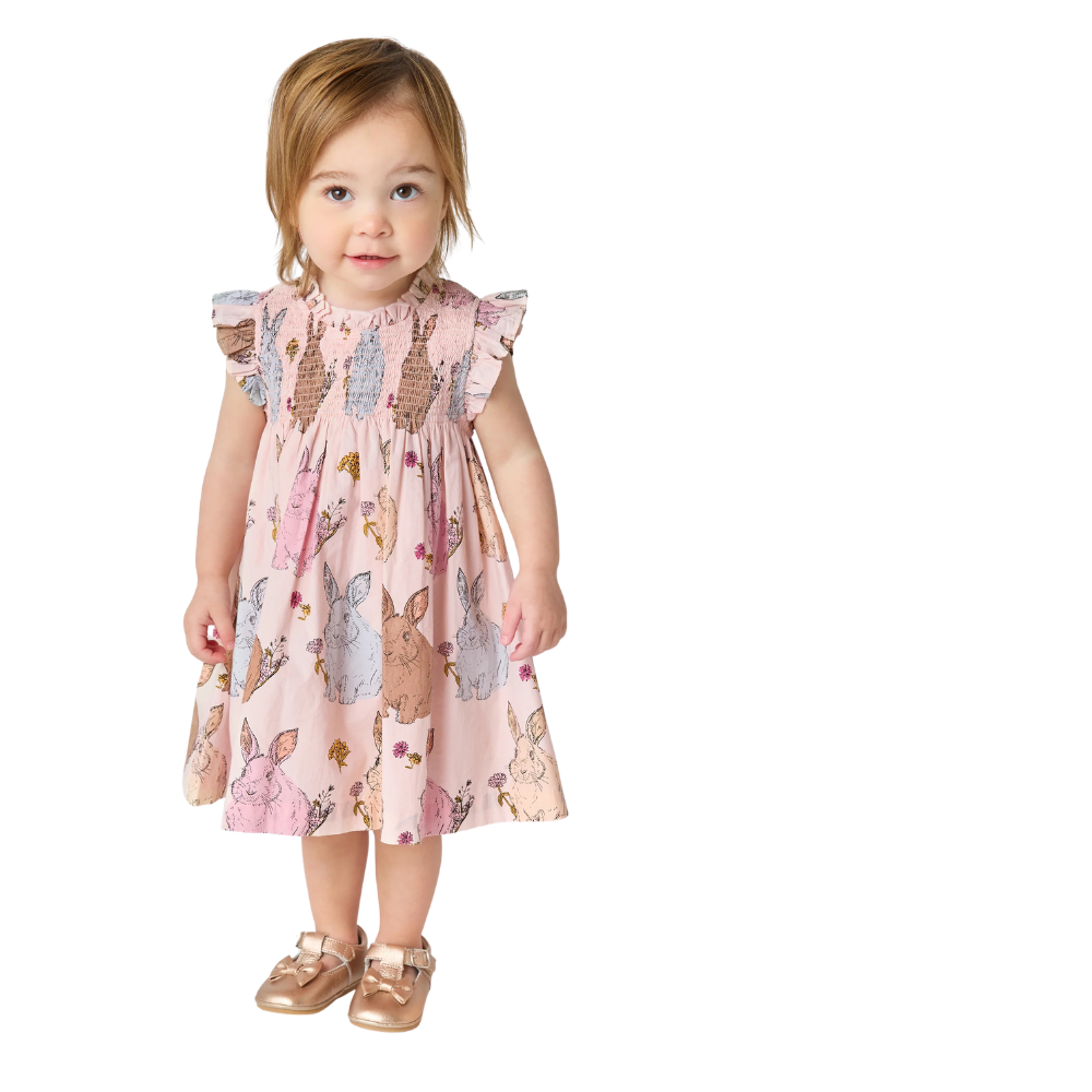 Baby Stevie Dress Set - Vintage Bunnies