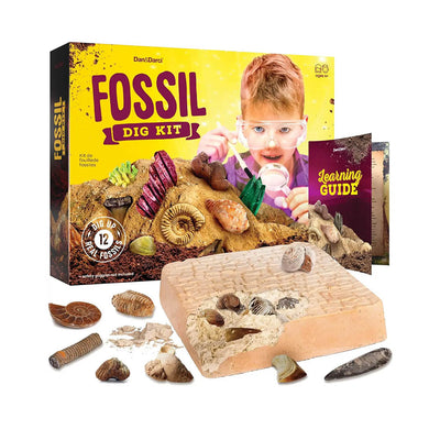 Fossil Dig Kit